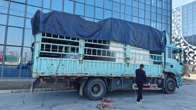 自動噴膠機再添新交付，助力大連汽車橡膠減震客戶升級